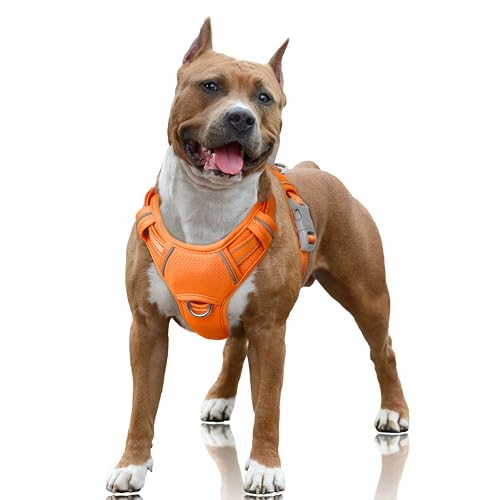 No Pull Dog Harness Large Reflective Dog Harness with Front Clip and Easy Control Handle for Walking Training Running with ID tag Pocket (Orange / Large)
