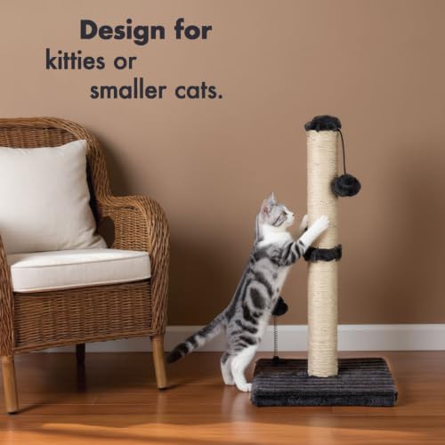 Cat Scratching Post Premium Basics Kitten Scratcher Sisal Scratch Posts with Hanging Ball 22in for Kittens or Smaller Cats (22 inches for kitten / Charcoal Gray)