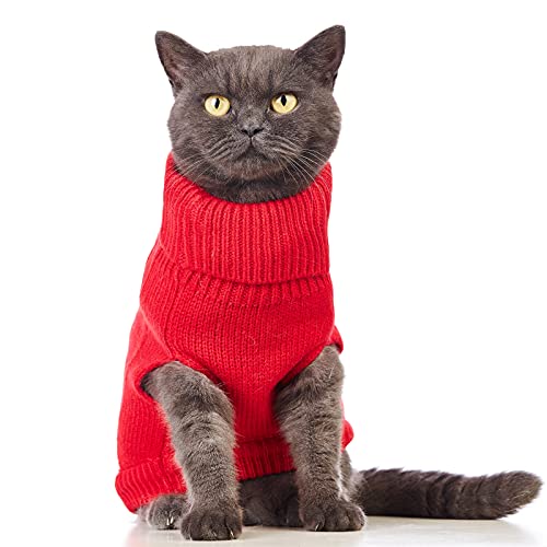 Cat Sweater Stretchy (Red / X-Small)