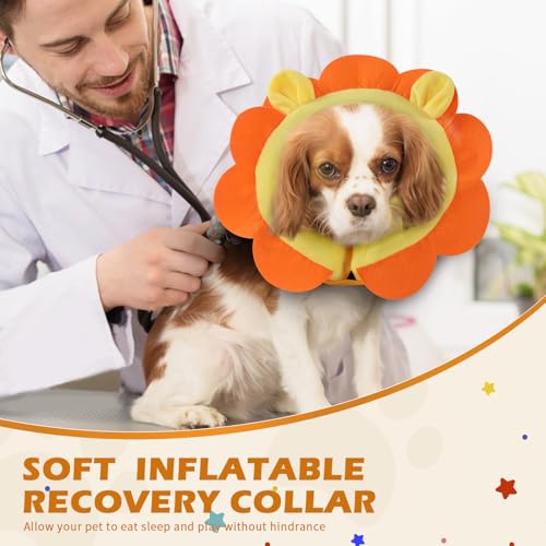 Inflatable Recovery Dog Collar (Orange Lion / Medium (Neck:8''-10''))