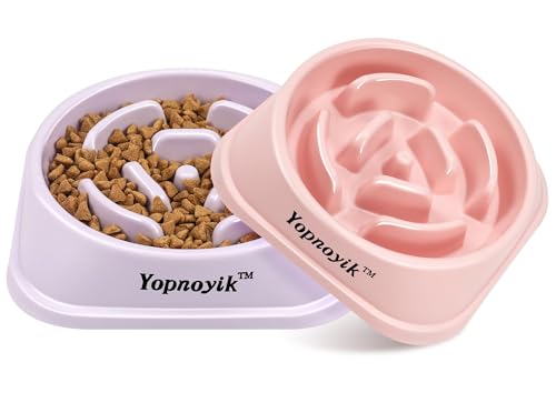 2 Pack Slow Feeder Dog Bowls for Large Dogs (Large / Pink and Purple)