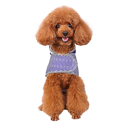 Dog Raincoat for Small Dogs Puppies Waterproof Jacket Hooded Rain Coats with Reflective Strips Leash Hole & Poncho Adjustable Fit (Blue white Stripes / Small)