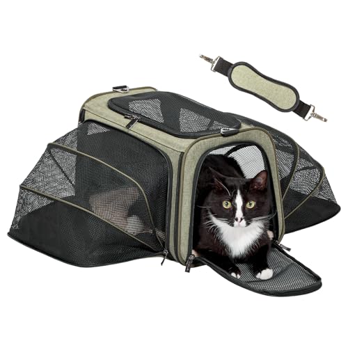 Medium Double Expandable Cat Carrier for Cats and Small Dogs (17.0"L x 11.0"W x 11.0"H / Green)