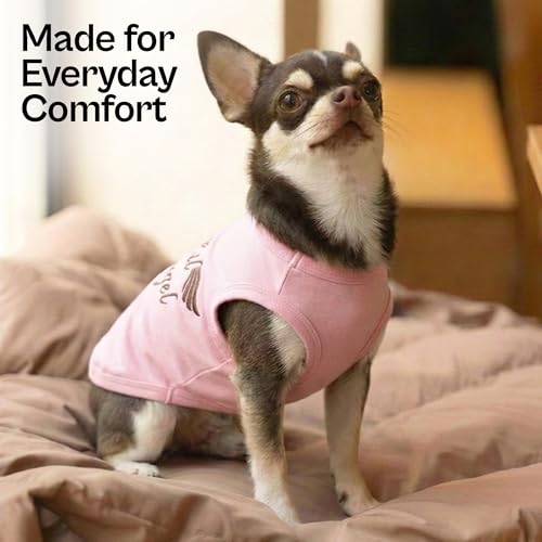 Dog Shirt 100% Cotton Lil Angel Shirts for Small Dogs (XS)