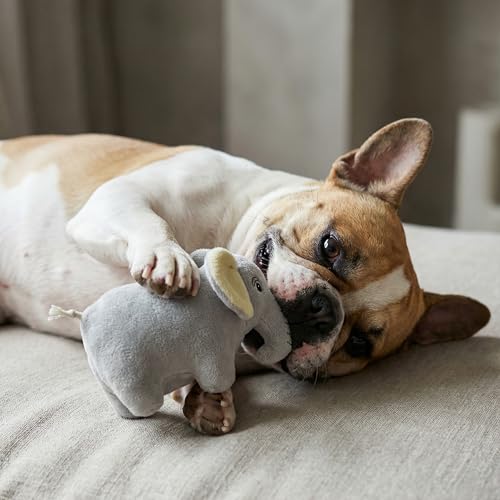Premium Plush Dog Toy (Small / Ellie the Elephant)