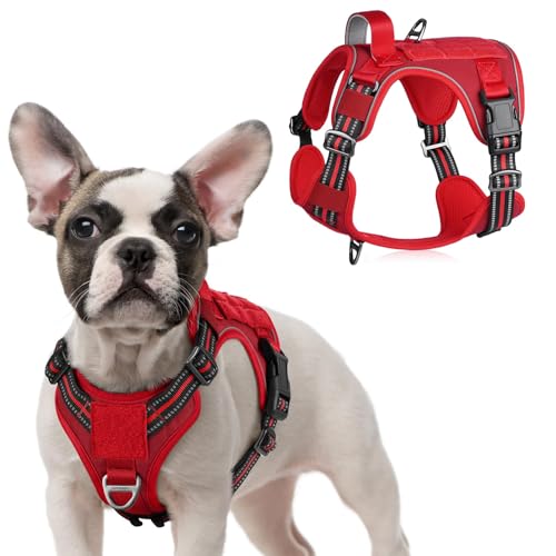Tactical Dog Harness for Small (Red / Small)