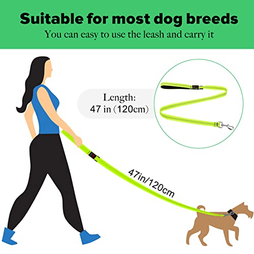 LED Dog Leash (GreenⅡ)