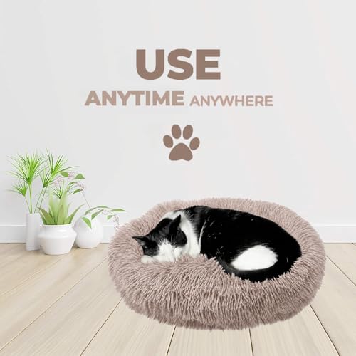 Cat Beds for Indoor Cats & Small Dog (Beige-Brown / 20.00" x 20.00" x 6.00")