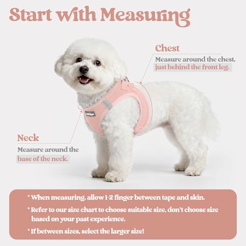 Dog Harness Medium Sized and Leash Set (Pink / Xl (chest: 20 - 21.8"))