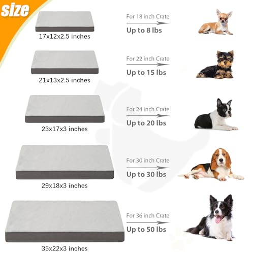 Orthopedic Dog Bed for Small Dogs with Waterproof Lining (Light Grey / 23.0"L x 17.0"W x 3.0"Th)