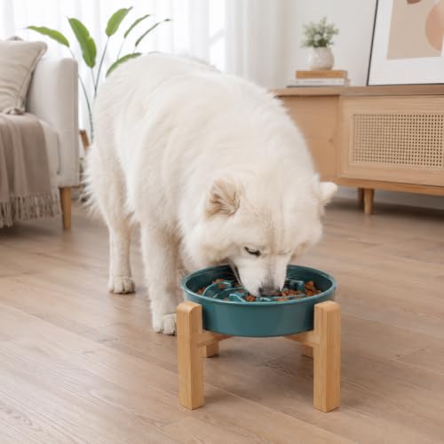 Ceramic Slow FeederDog Bowl for Medium Large Dogs (Stars mark-Forest Green / 8.66in)