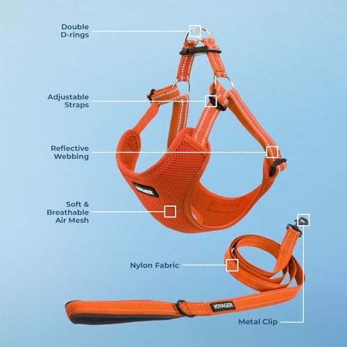 Voyager Adjustable Step (Harness Leash Set (Orange) / L)