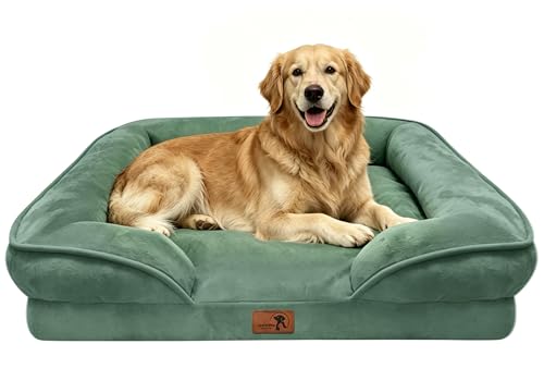 Orthopedic Dog Bed with Sides (42.0"L x 32.0"W x 6.5"Th / Green)