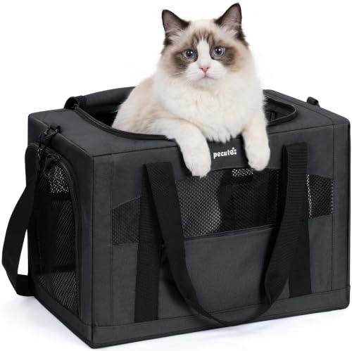 Cat Carrier Stable (Dark Gray / 18.5"L x 12.9"W x 11.8"H)
