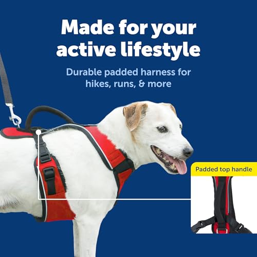 EasySport Dog Harness (Small / Red)