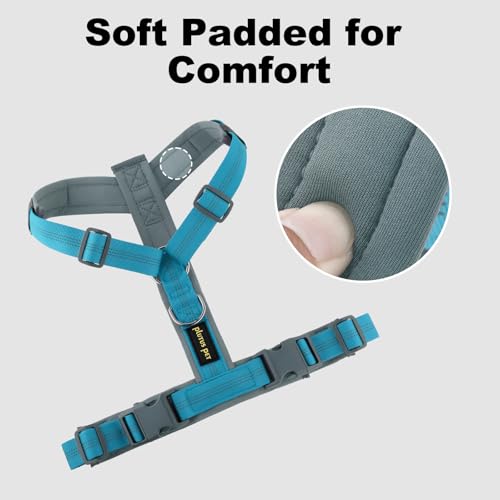 No Pull Dog Harness (XS / Cyan)