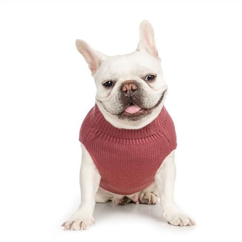 Cat Sweater Stretchy (Maple Leaf Red / XXL)