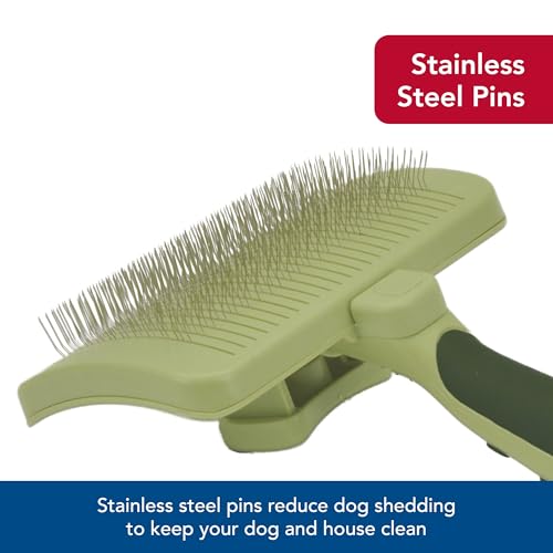 Pet Safari Dog Self (Medium)