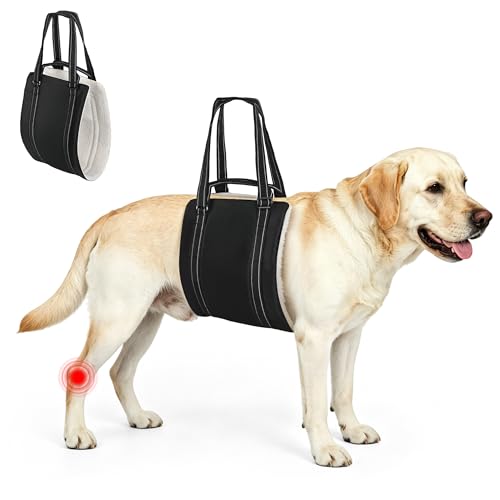 Adjustable Dog Lift Harness for Large & Medium Sized Dogs (black / Medium)