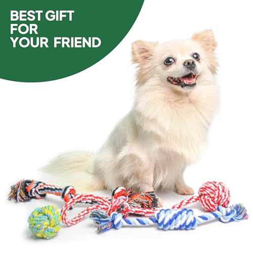 Dog Rope Toy 4 Pack (Red / Mini/Small)