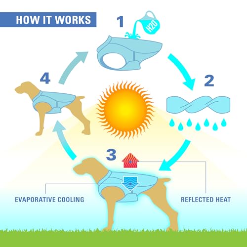 Core Cooling Vest (Small)