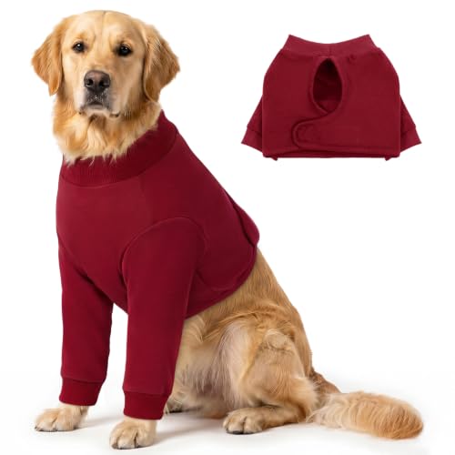Large Recovery Suit for Dogs (XX-Large / Burgundy)