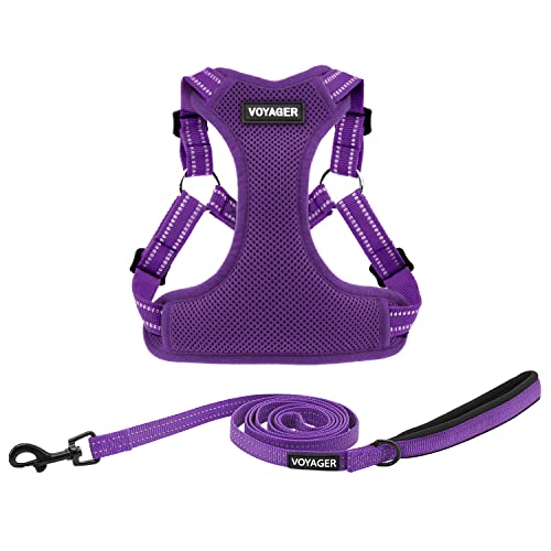 Voyager Adjustable Step (Harness Leash Set (Purple) / XL)