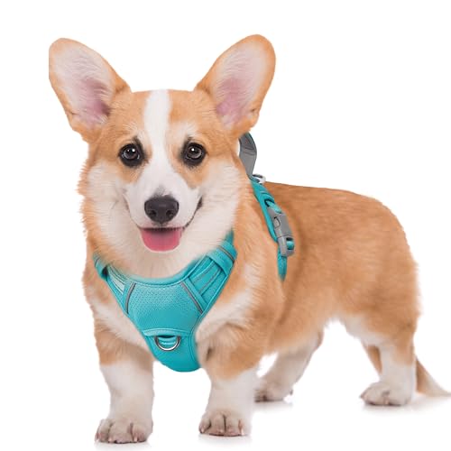 No Pull Dog Harness Large Reflective Dog Harness with Front Clip and Easy Control Handle for Walking Training Running with ID tag Pocket (Ocean Blue / Medium)