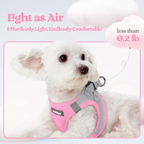 Dog Harness Small Sized and Leash Set (Light Pink & Gray / S (chest: 15.1 - 16.5"))