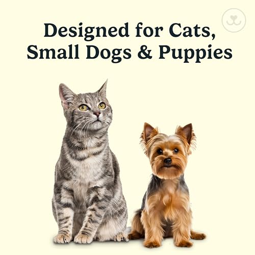 Microbrush Vet Approved Cat Toothbrush (Gray 2 Pack)