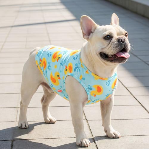 2Pack Dog Shirt for Small Dogs Soft Breathable T (Small (4-7lbs) / 4# Duck+Blue)