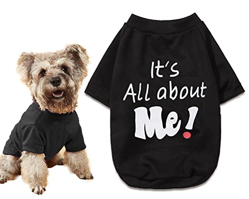 Yorkie Clothes Funny Small Dog T Shirt Black Dog Clothes (Medium (5.5-8.8lb) / Black)