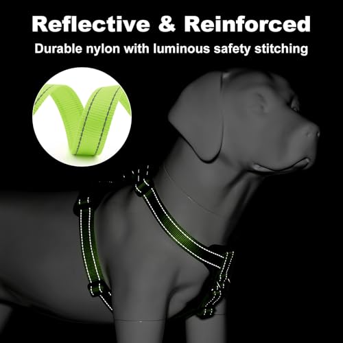 No Pull Dog Harness with Leather Accents (L / Green)