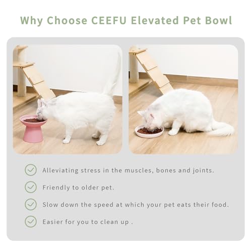 2 Pack Extra Wide Elevated Ceramic 6.2" Shallow Cat Food Bowls (Pink-2 Food Bowl)