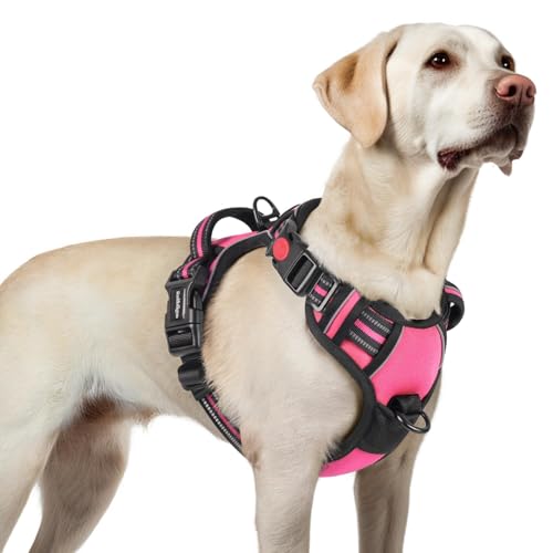 Dog Harness for Large (Large / Rose Pink)