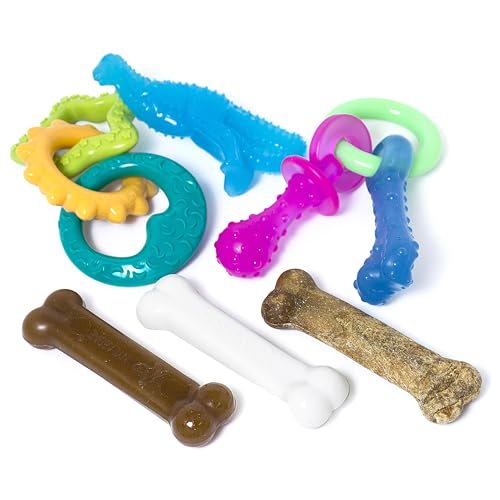 Puppy Chew Toy & Treat Bundle (Bundle / Small)