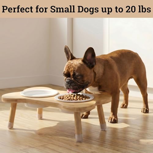 Elevated Dog Bowls for Small Dogs