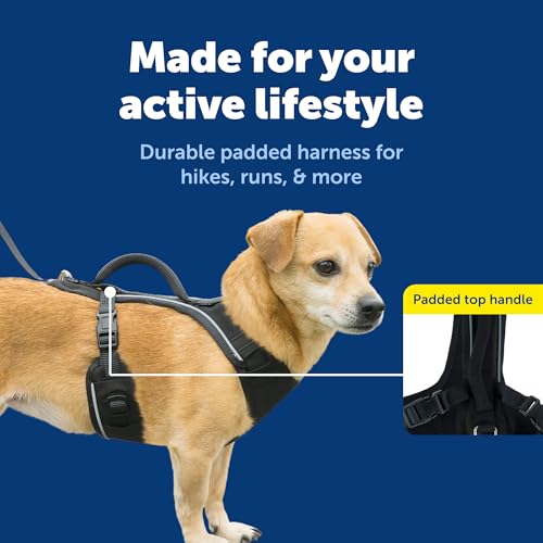 EasySport Dog Harness (Extra Small / Black)