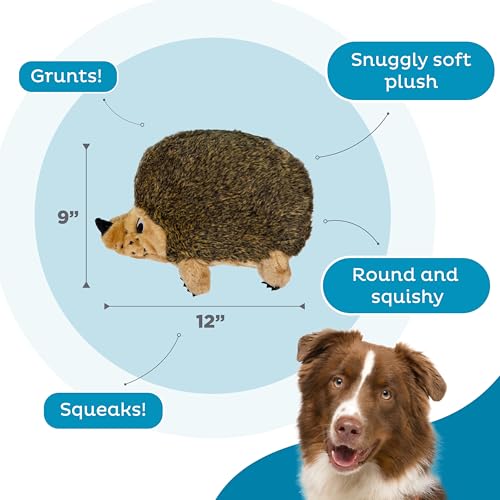 Hedgehogz Plush Dog Toy (Dog Plush Hedgehogz / X Large (Pack of 1))