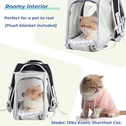 Cat Carrier Backpack (Square Back Expandable-Black)