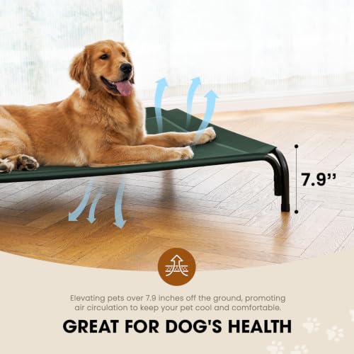 Outdoor Elevated Dog Bed for Large Sized Dogs (XXL(53.94"x35.83"x7.90") / Green)