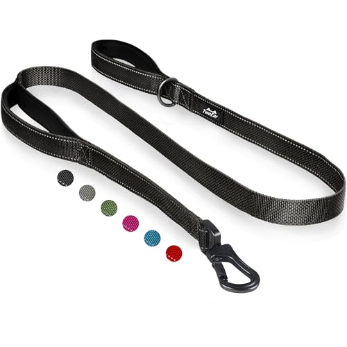 6FT 1IN Heavy Duty Dog Leash for Large Dogs with 2 Padded Handles (Black / 1 in x 6 ft)