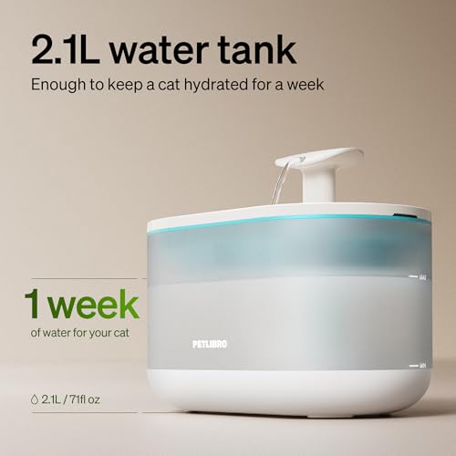 Cat Water Fountain Ultra Quiet with Two Flow Modes (white / Basic Fountain)