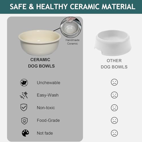 Elevated Ceramic Dog Bowl with Stand (Double Bowls+Stand (Cream White) / M-28OZ)