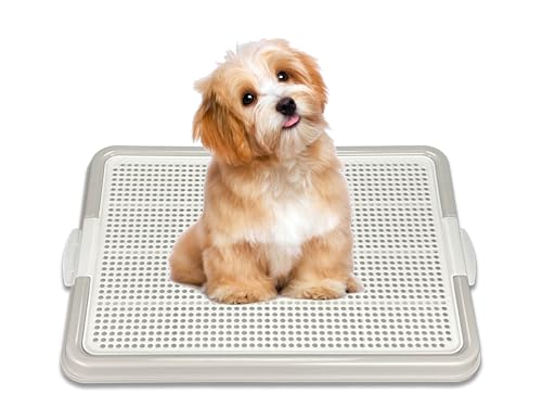 Dog Pee Pad Holder Tray (Gray)