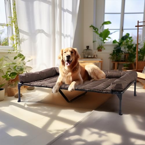 Outdoor Elevated Dog Bed with Waterproof Bolster Cushion (Brown / 49.0"L x 33.0"W x 9.0"Th)