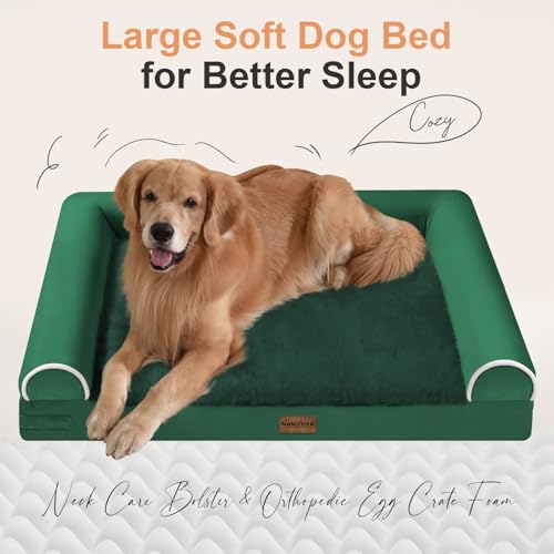 Orthopedic Dog Bed for Jumbo Dogs (Emerald / 53.0"L x 42.0"W x 6.5"Th)