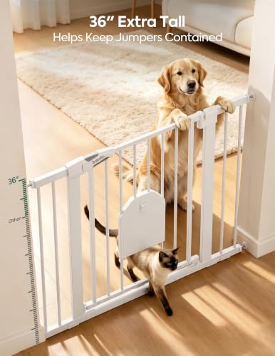 36" Tall Baby Gate with Adjustable Cat Door (White / 29-43" Wide, 36" Tall | Standard)