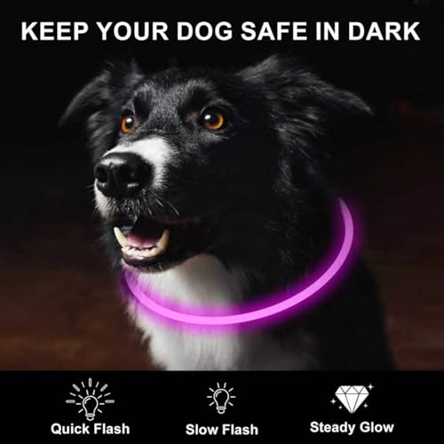 2 Pack LED Dog Collar (Red&Pink)