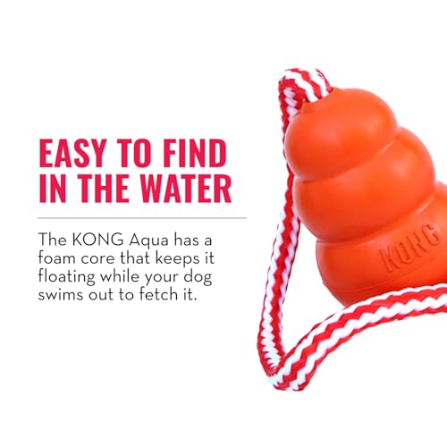 Aqua Floating Fetch Toy (Medium (Pack of 1))
